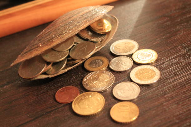 Best Travel Credit Cards with No Annual Fee