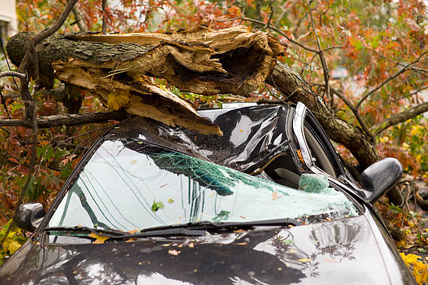 How to Maintain Your Car Without Spending a Fortune